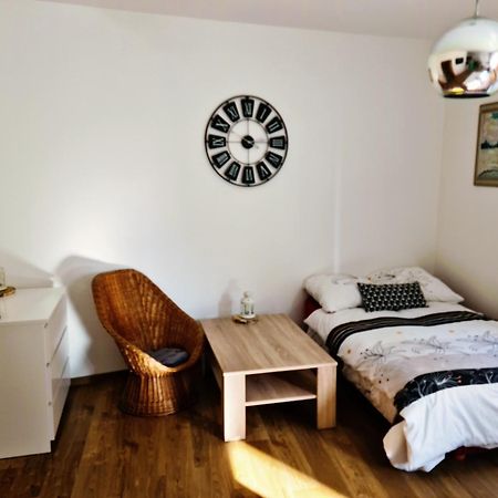 City Centre Apartments Ліберець Екстер'єр фото